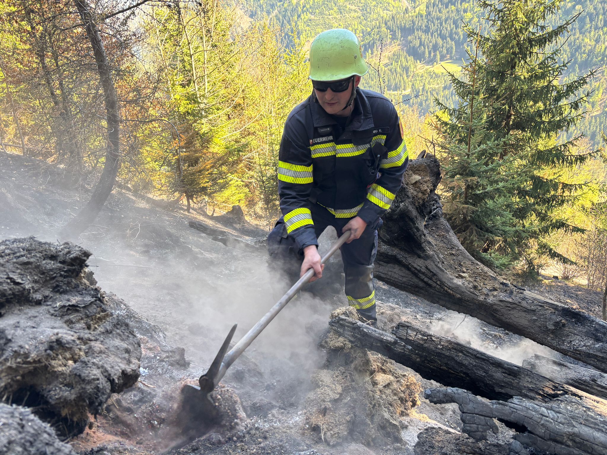 3bddb716 2ec6 43b5 820c 6f470b4e7e80